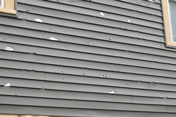 Best Vinyl Siding Installation  in Pembroke, NC